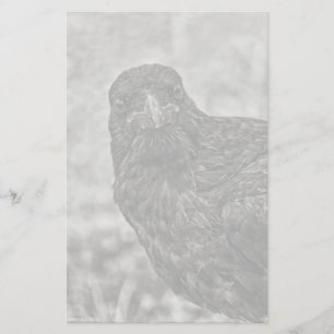 Raven P9239 Briefpapier