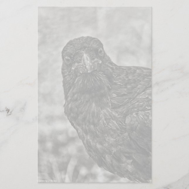 Raven P9239 Briefpapier (Vorderseite)