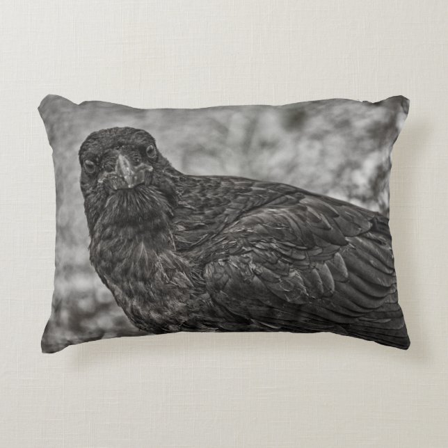 Raven P9239 Dekokissen (Vorderseite)