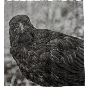 Raven P9239 Duschvorhang