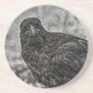 Raven P9239 Getränkeuntersetzer