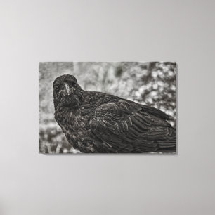Raven P9239 Leinwanddruck