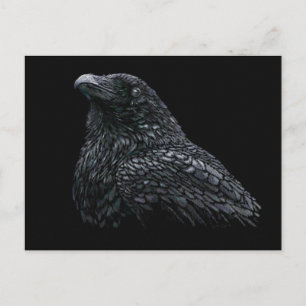 Raven Postkarte