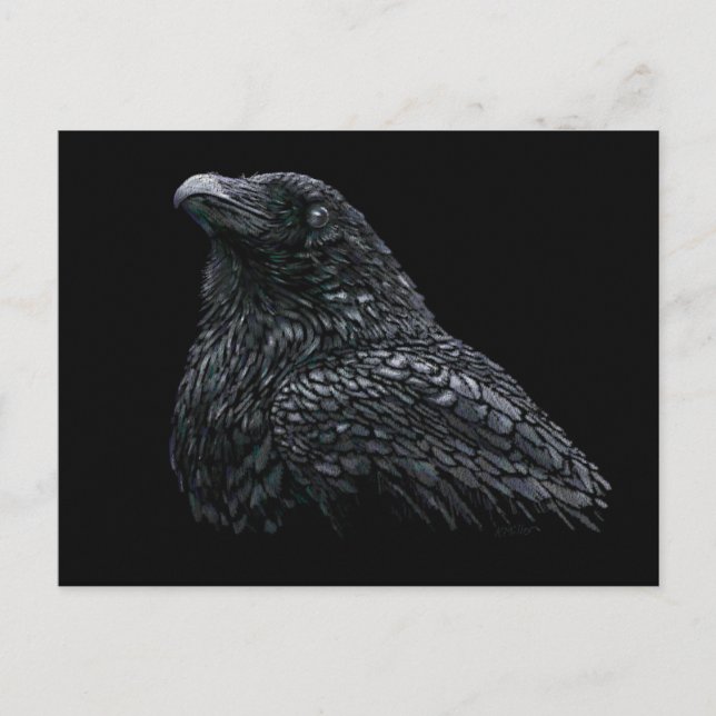 Raven Postkarte (Vorderseite)