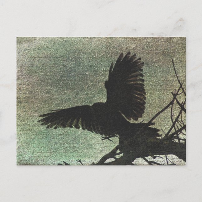 Raven Postkarte (Vorderseite)