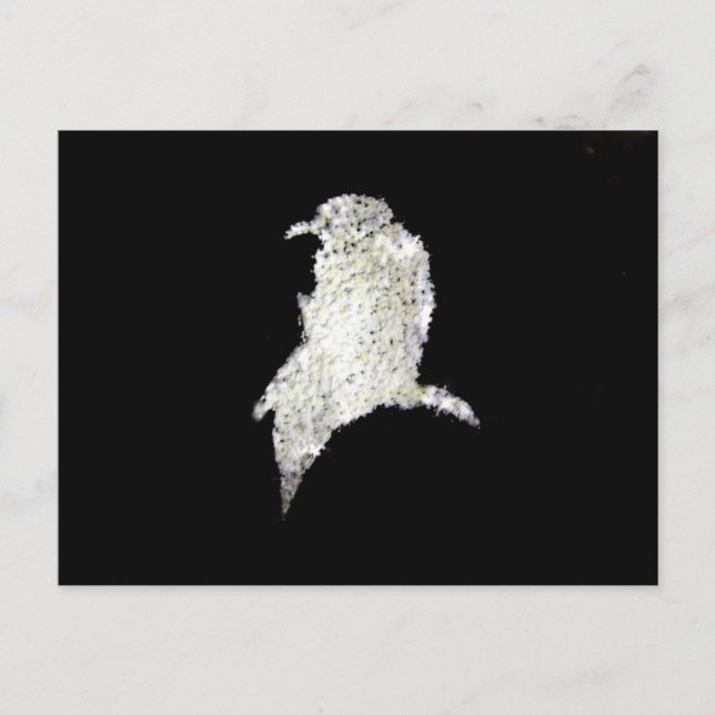 Raven Postkarte (Vorderseite)