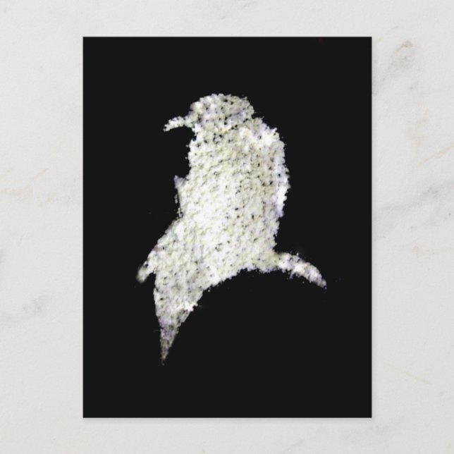 Raven Postkarte (Vorderseite)