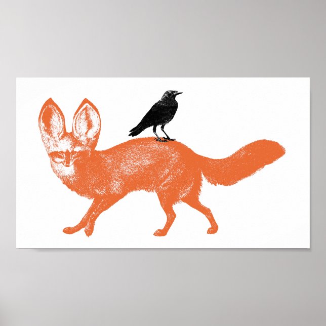 Raven setzt auf Fox Poster (Vorne)