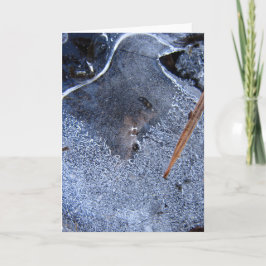 Raven sieht richtig aus, schwarze Corvid Geschicht Karte