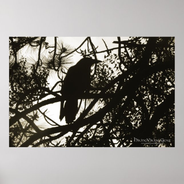 Raven Steampunk Poster (Vorne)