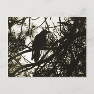 Raven Steampunk Postkarte