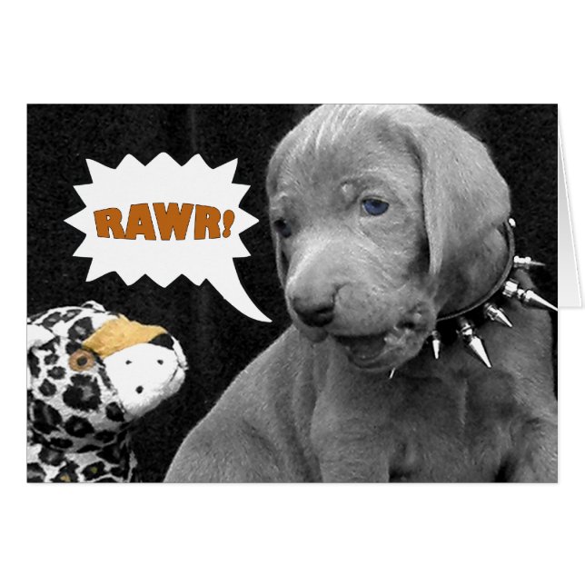 RAWR (Vorderseite (Horizontal))