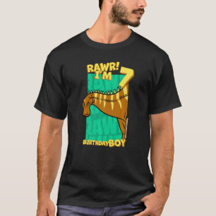 Rawr I m 7 Birthday Boys 7. Geburtstag Dino Rebbac T-Shirt