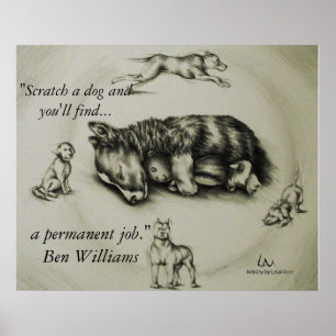 Rayez un chien - affiche de sommeil de chien