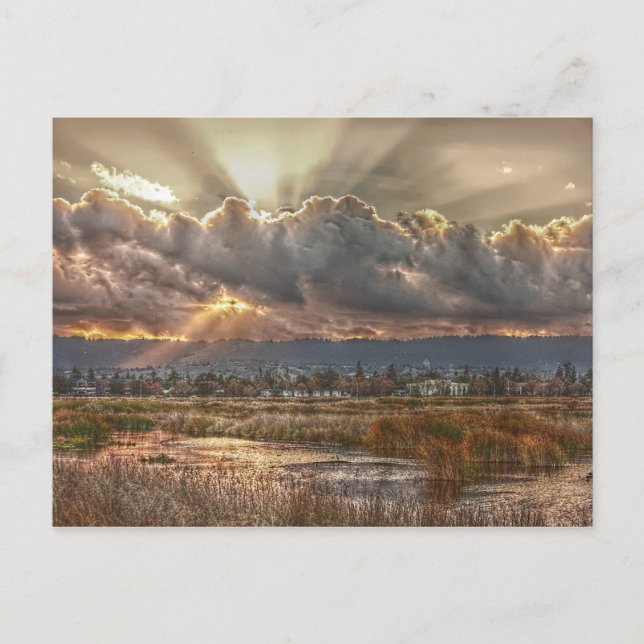 Rayons au coucher du soleil Carte postale (Devant)