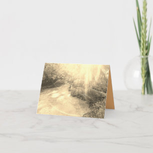 Rayons lumineux et carte de banc