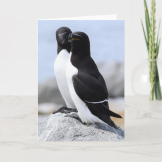 Razorbill Pair Karte