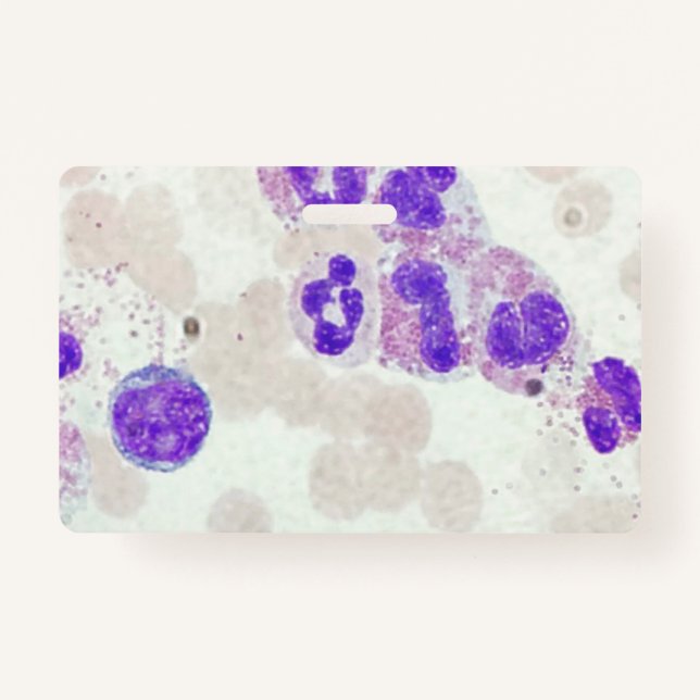 RBCs WBCs Slide Microscope Hämatology Labrador Ausweis (Vorderseite)