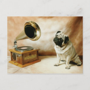 RCA Mops-Hund Postkarte