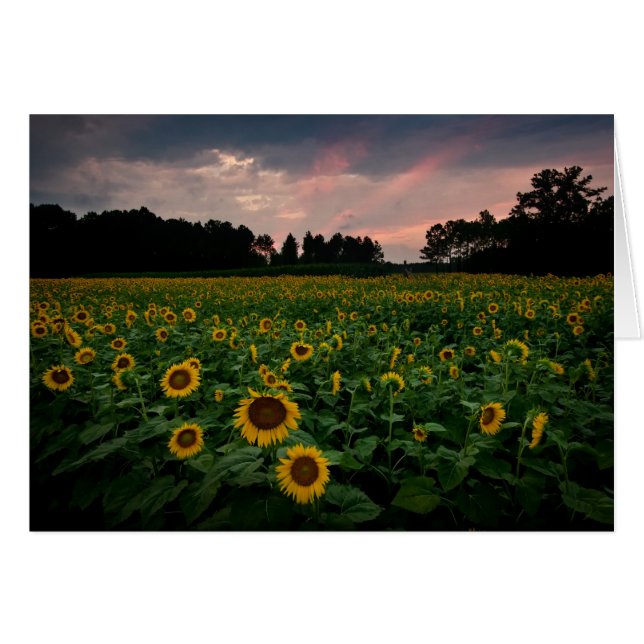 RCD_6002_3_4 (Vorderseite (Horizontal))