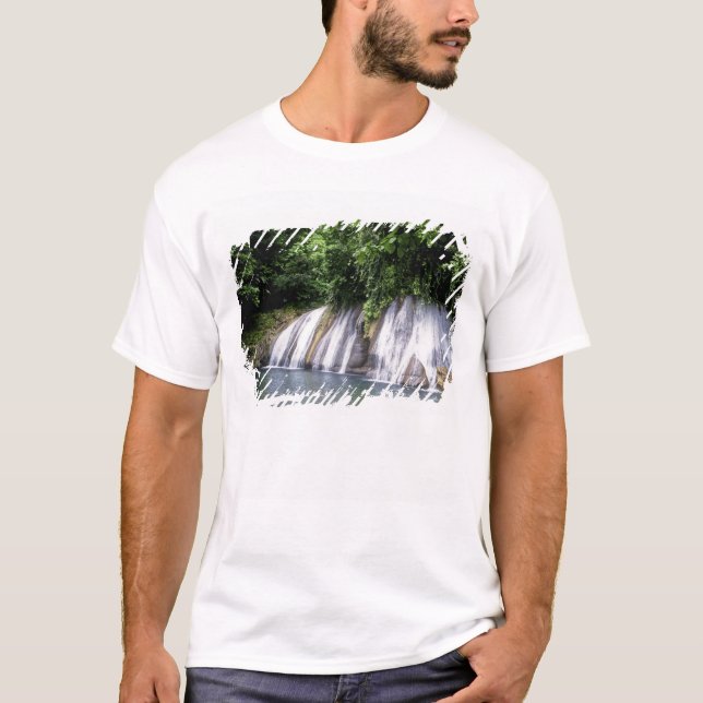 Reach Falls, Port Antonio, Jamaika T-Shirt (Vorderseite)