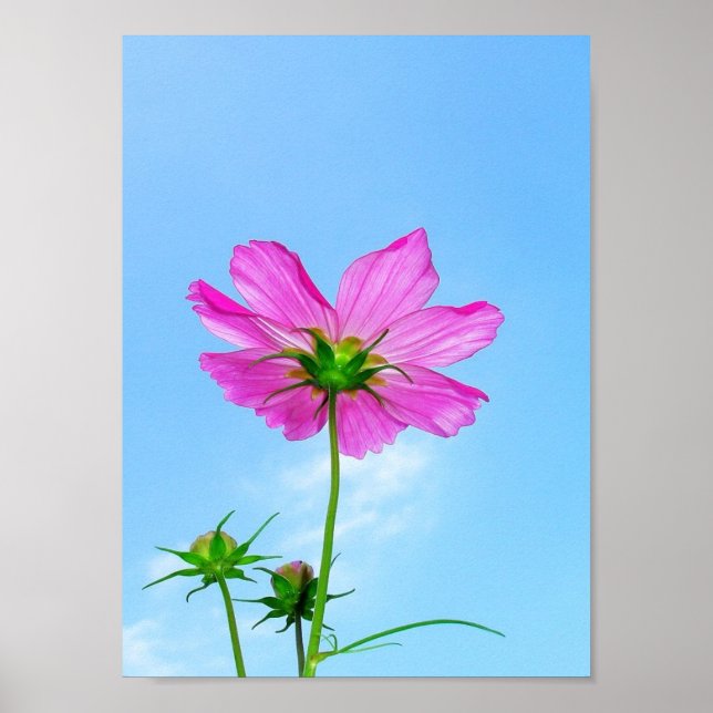 Reaching for Life Poster (Vorne)