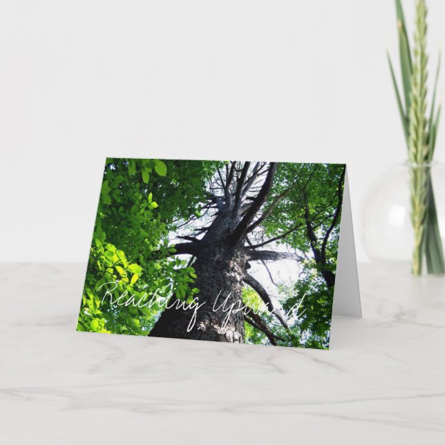 Reaching Upwards Karte (Vorderseite)