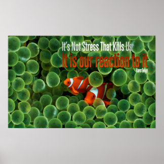 Réaction au stress Motivation Poster