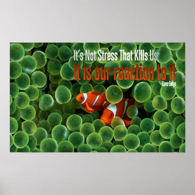 Réaction au stress Motivation Poster (Devant)