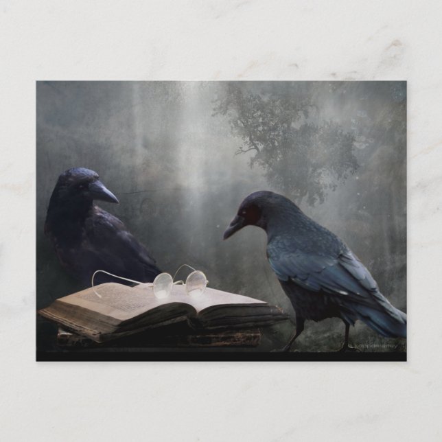 Reader Postkarte (Vorderseite)