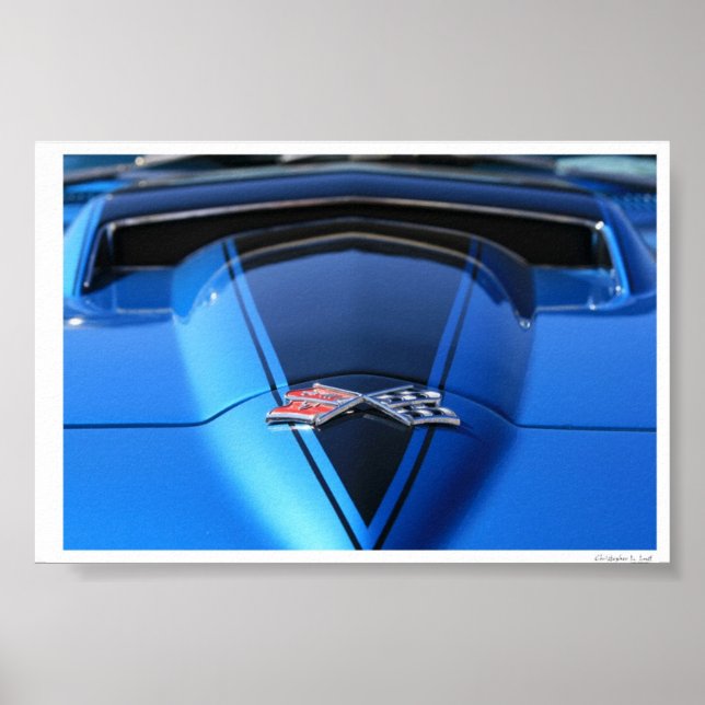 Ready to Rumble Poster (Vorne)