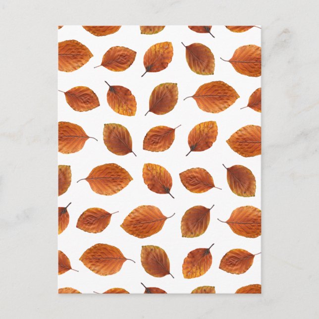 Real Autumn Leaves Muster Postkarte (Vorderseite)
