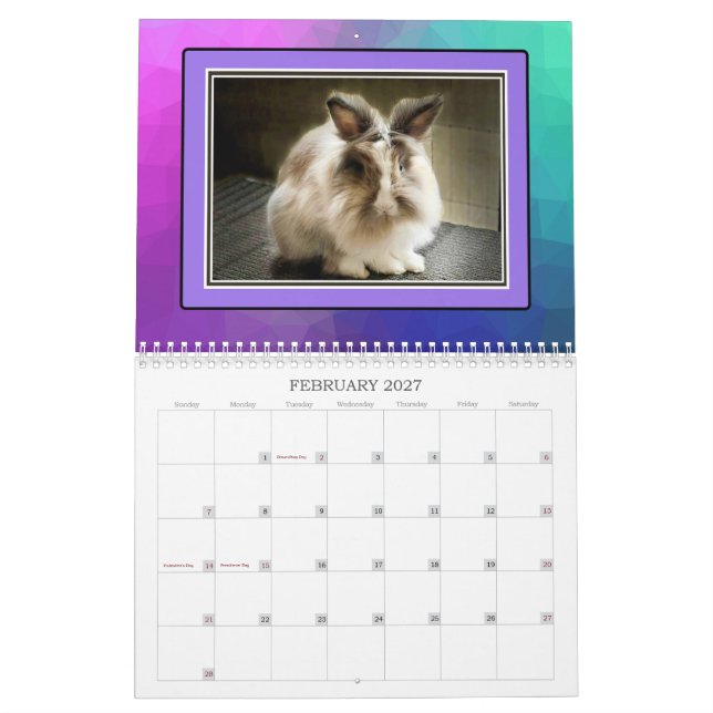 REAL BUNIES 2026 KALENDER (Feb 2027)