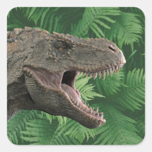 Real dinosaur T-Rex Quadratischer Aufkleber