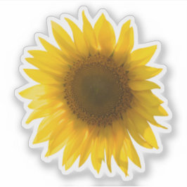 Real Gelbe Sonnenblumenaufnahme Aufkleber