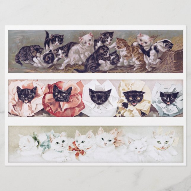 Real (not AI) Long Victorian Era Cat Illustrations (Vorderseite)