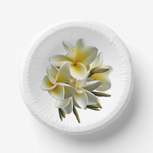 Real Plumeria Frangipani Blume Pappteller (Vorderseite)