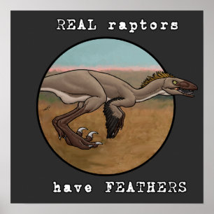 Real Raptors Poster