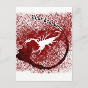 Real Scorpion Postkarte