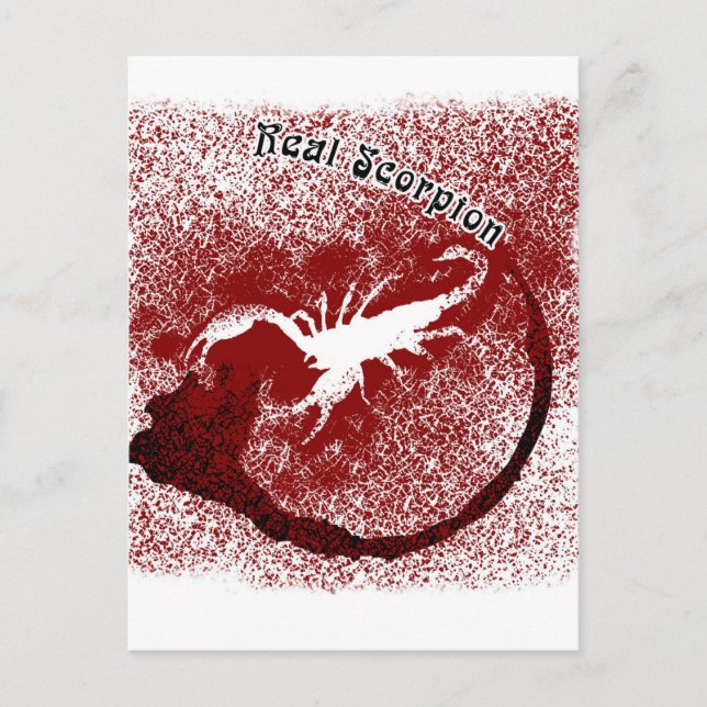 Real Scorpion Postkarte (Vorderseite)
