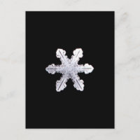 Real Snowflake Picture