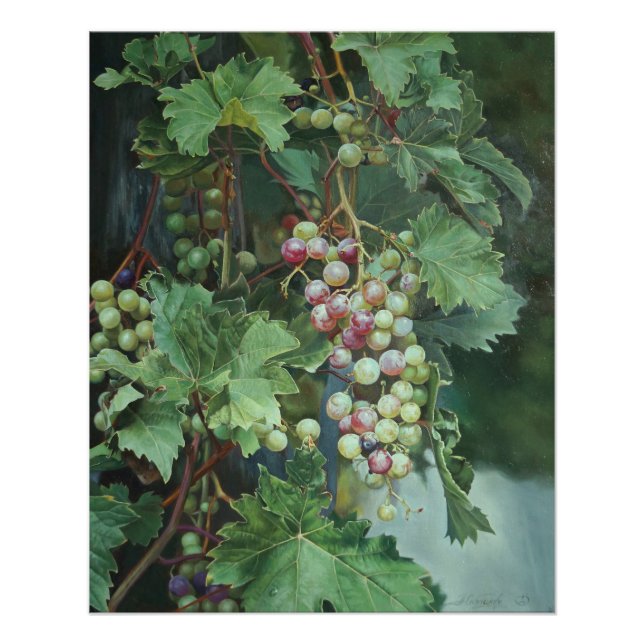Realistic Grape Vine with Leaves – Fine Art Poster (Vorderseite)