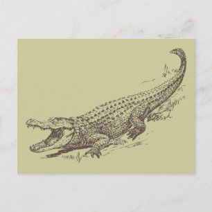 Realistische Alligator-Illustration Postkarte