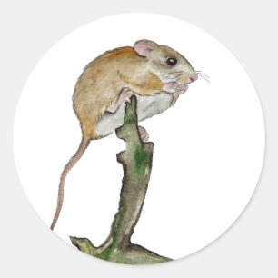 Realistische Aquarellmaus in einem Baum Runder Aufkleber