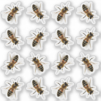 Realistische Aufkleber für Honigbienen in Lebensgr