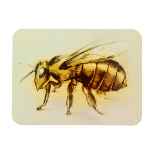 Realistische Gelbe Hornet-Kunst, Foto Magnet - Bie