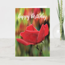 Realistische Hochpoly-Rosenknospe zum Geburtstag