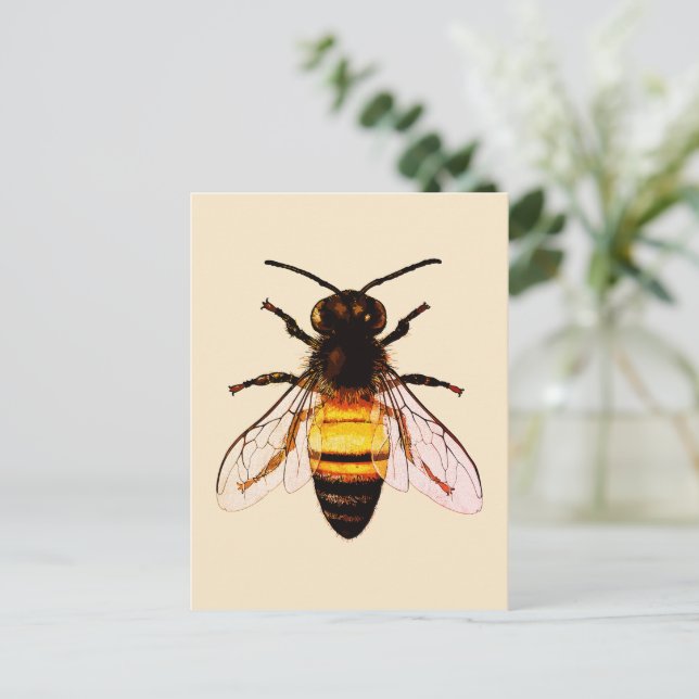Realistische Honey Bee Art Illustration Postkarte (Stehend Vorderseite)