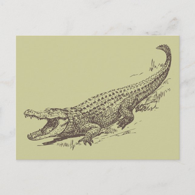Realistische Illustration des Alligators Postkarte (Vorderseite)
