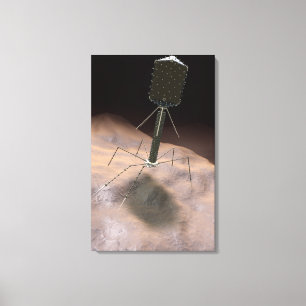 Realistische Illustration des Bakteriophages Leinwanddruck